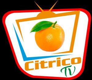 Citrico TV (240p)
